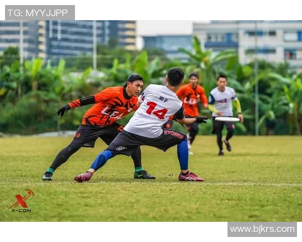 成都飞盘队运营分析：探索成功经验与面临挑战的深度剖析